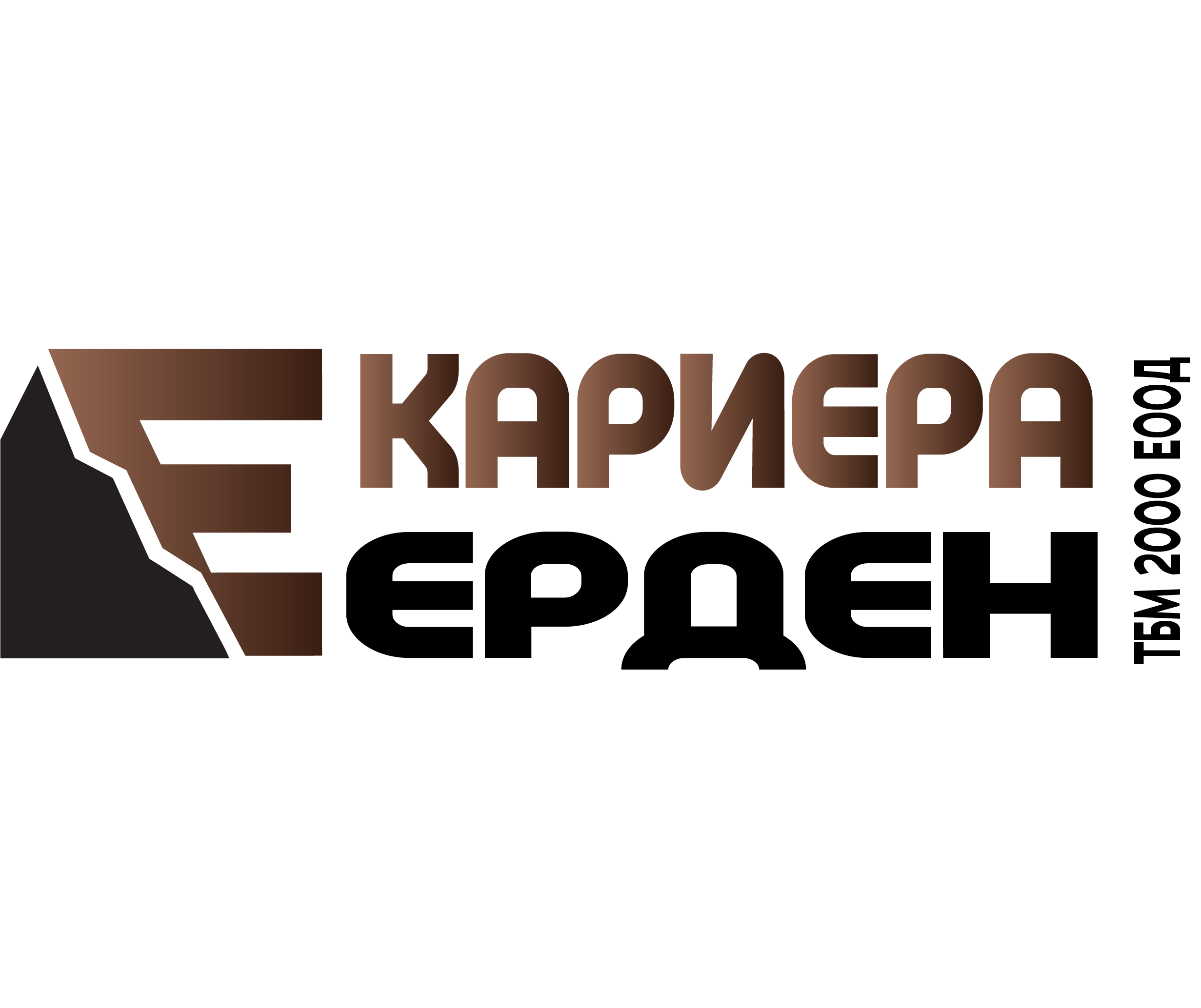 Кариера Ерден